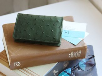 オーストリッチ 名刺入れ フルポイント