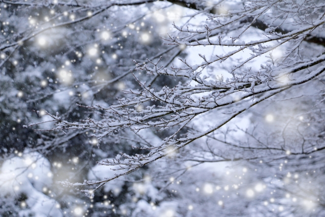 1月 初詣 買い物 ファーベスト コーデ