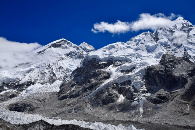 ヒマラヤクロコダイルとは